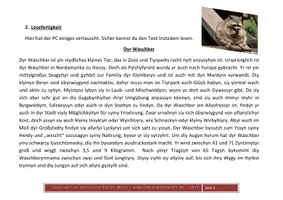 Vorschau - Arbeitsblätter - Vielfältige Lese- und Rechtschreibübungen an EINEM Text - Der Waschbär - Seite 3
