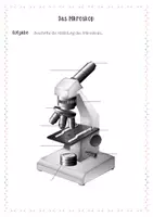 Vorschau - Arbeitsblätter - Mikroskopier-Praktikum - Laborbuch - Seite 1
