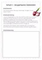 Vorschau - Arbeitsblätter - Mikroskopier-Praktikum - Laborbuch - Seite 2