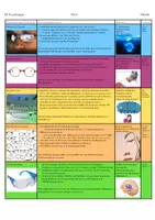 Vorschau - Poster - Übersicht Paradigmen der Psychologie (editierbar / erweiterbar) - Deckblatt