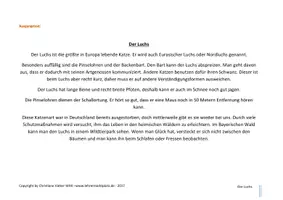 Vorschau - Arbeitsblätter - Vielfältige Lese- und Rechtschreibübungen an EINEM Text - Der Luchs - Lesekompetenz und Rechtschreibkompetenz fördern mit Spaß - Seite 1