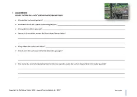 Vorschau - Arbeitsblätter - Vielfältige Lese- und Rechtschreibübungen an EINEM Text - Der Luchs - Lesekompetenz und Rechtschreibkompetenz fördern mit Spaß - Seite 2