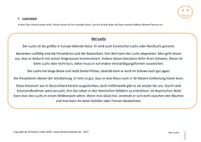 Vorschau - Arbeitsblätter - Vielfältige Lese- und Rechtschreibübungen an EINEM Text - Der Luchs - Lesekompetenz und Rechtschreibkompetenz fördern mit Spaß - Seite 3