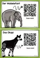 Vorschau - Präsentationen/Tafelbilder - Aufgabenkarten Tiere im Regenwald - mit QR-Codes - Seite 1