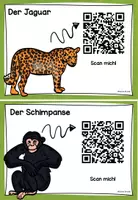 Vorschau - Präsentationen/Tafelbilder - Aufgabenkarten Tiere im Regenwald - mit QR-Codes - Seite 3