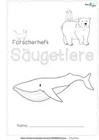 Vorschau - Arbeitsblätter - Säugetiere - Forscherheft #Homeschooling - Seite 2