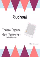 Vorschau - Arbeitsblätter - Suchsel "Innere Organe des Menschen" (2fach differenziert) - Deckblatt