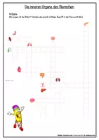 Vorschau - Spiele - Kreuzworträtsel "Innere Organe des Menschen" (2fach differenziert) - Seite 1