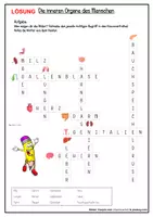Vorschau - Spiele - Kreuzworträtsel "Innere Organe des Menschen" (2fach differenziert) - Seite 3