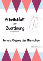 Vorschau - Arbeitsblätter - Arbeitsblatt "Innere Organe des Menschen" (3fach differenziert) - Deckblatt