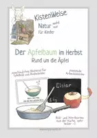 Vorschau - Unterrichtsreihen - Der Apfelbaum im Herbst: Rund um die Äpfel, Thema Apfel - Deckblatt