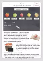 Vorschau - Unterrichtsreihen - Der Apfelbaum im Herbst: Rund um die Äpfel, Thema Apfel - Seite 2