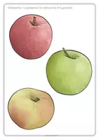 Vorschau - Unterrichtsreihen - Der Apfelbaum im Herbst: Rund um die Äpfel, Thema Apfel - Seite 3