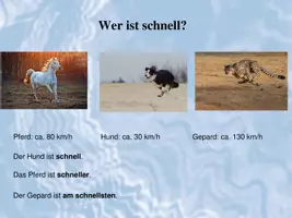 Vorschau - Präsentationen/Tafelbilder - Adjektive steigern üben am Beispiel Tierrekorde - Seite 2