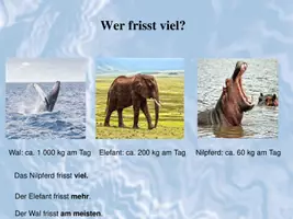 Vorschau - Präsentationen/Tafelbilder - Adjektive steigern üben am Beispiel Tierrekorde - Seite 3