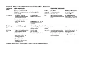 Vorschau - Stundenentwürfe - Verbrennungsprodukte einer Kerze im Versuch (SuS) - Seite 2