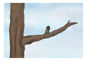 Vorschau - Bildkarten - Von der Blüte zum Apfel: Cliparts (Bild- und Wortkarten für schöne Tafelbilder) - Seite 3