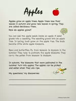 Vorschau - Arbeitsblätter - Englisch Grundschule "Apples: Cycle of life" - Seite 1