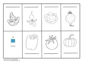 Vorschau - Mal- und Bastelvorlagen - Gemüse - Lapbook Gemüsesorten, Gemüse haltbar machen, Pflanzenteile, Gemüsearten - Seite 3
