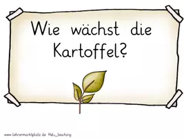 Vorschau - Poster - Themenleine - Die Kartoffel - Seite 1