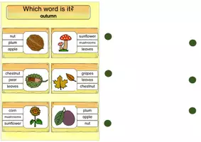 Vorschau - Fördermaterial/Inklusion - Klammerkarten Englisch Autumn - Seite 3