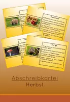 Vorschau - Aufgabenkarten - Herbstliche Abschreibkartei für Deutsch - Deckblatt