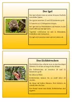 Vorschau - Aufgabenkarten - Herbstliche Abschreibkartei für Deutsch - Seite 1