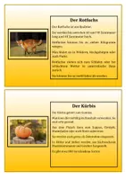 Vorschau - Aufgabenkarten - Herbstliche Abschreibkartei für Deutsch - Seite 2