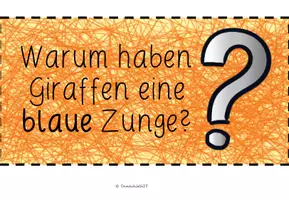 Vorschau - Poster - Frage(n) der Woche mit Erklärung(en) (wachsendes Materialpaket) - Seite 3