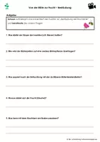 Vorschau - Arbeitsblätter - Von der Blüte zur Frucht - Beobachtungsauftrag zum Kurzfilm - Seite 2
