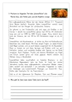 Vorschau - Arbeitsblätter - Wortarten Übungsheft Deutsch (einsetzbar in Klasse 4-6) #edukiknaller2021 - Seite 3