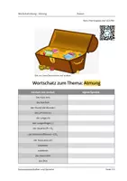 Vorschau - Arbeitsblätter - Komplettpaket x3: Organe und Systeme (Wortschatzübung für DaZ/DaF und IFK) - Seite 2