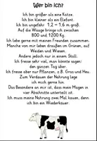 Vorschau - Arbeitsblätter - Das Rind-Ein Nutztier (AB,Lsg,Einstieg,Poster,Wortkarten,Methode Mindmap) - Seite 2