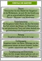 Vorschau - Arbeitsblätter - Lerntheke Katze-Infotexte,AB,Lösungen,Laufzettel,Stationsschilder - Seite 3