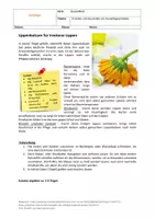 Vorschau - Arbeitsblätter - Erstellen und Beurteilen von Hautpflegeprodukte - Seite 3