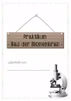 Vorschau - Arbeitsblätter - Praktikum - Bau der Biomembran - Deckblatt