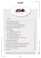 Vorschau - Arbeitsblätter - Ökologie hautnah Band 2: Die Rote Waldameise | Biologie Sekundarstufe I Klasse 5–10 | Nesthügel, Ameisenssäure, Ökosystem Wald, Experiment, Kreuzworträtsel, Projektarbeit, Lösungen - Seite 3