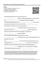 Vorschau - Arbeitsblätter - Arbeitsblätter zum Thema "Bauchspeicheldrüse" + Lösung & MP3 + Mindmap + Infografik - Deckblatt