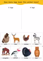Vorschau - Bildkarten - Quiz: Animals sorting, count how many legs / Tiere sortieren, wie viele Beine zählen. (with animals names) - Seite 1
