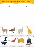 Vorschau - Bildkarten - Quiz: Animals sorting, count how many legs / Tiere sortieren, wie viele Beine zählen. (with animals names) - Seite 2