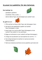 Vorschau - Arbeitsblätter - Wir erstellen ein Herbarium - Seite 3
