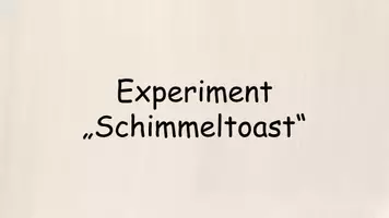 Vorschau - Experimente - Experiment "Schimmeltoast" - Beschreibung und Bildreihe - Seite 3