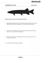 Vorschau - Arbeitsblätter - Fische - Wirbeltiere 1 - Seite 2