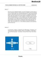 Vorschau - Arbeitsblätter - Fische - Wirbeltiere 1 - Seite 3