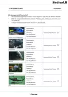 Vorschau - Arbeitsblätter - Fische - Wirbeltiere 1 - Deckblatt