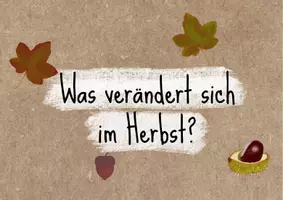 Vorschau - Bildkarten - Herbstgeplauder - Seite 2