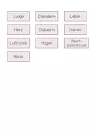 Vorschau - Arbeitsblätter - Meine Organe - Körper - Arbeitsblätter inkl. interaktive PDF - Seite 3