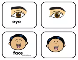 Vorschau - Stationenlernen - English Flashcards Bundle: Top 4 Sets at 30% off! (Bildkarten/Englisch) - Seite 2