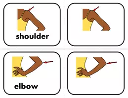 Vorschau - Bildkarten - Body Parts in English Flashcards: Englische Körpertiele Bildkarten - Seite 3