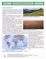 Vorschau - Arbeitsblätter - Ökologie - Komplexe Übung - Ökologie der Tundra - Seite 1